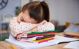 Kind slaapt met hoofd op stapel boeken