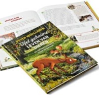 boek van de maand maart